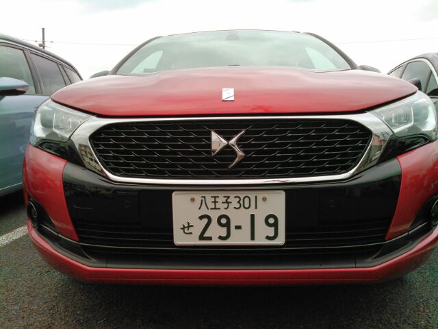 ＤＳ４　ＣＲＯＳＳＢＡＣＫ