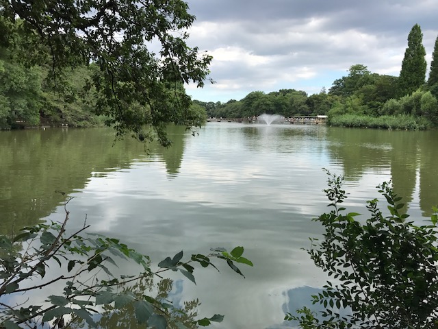 公園も良いですね