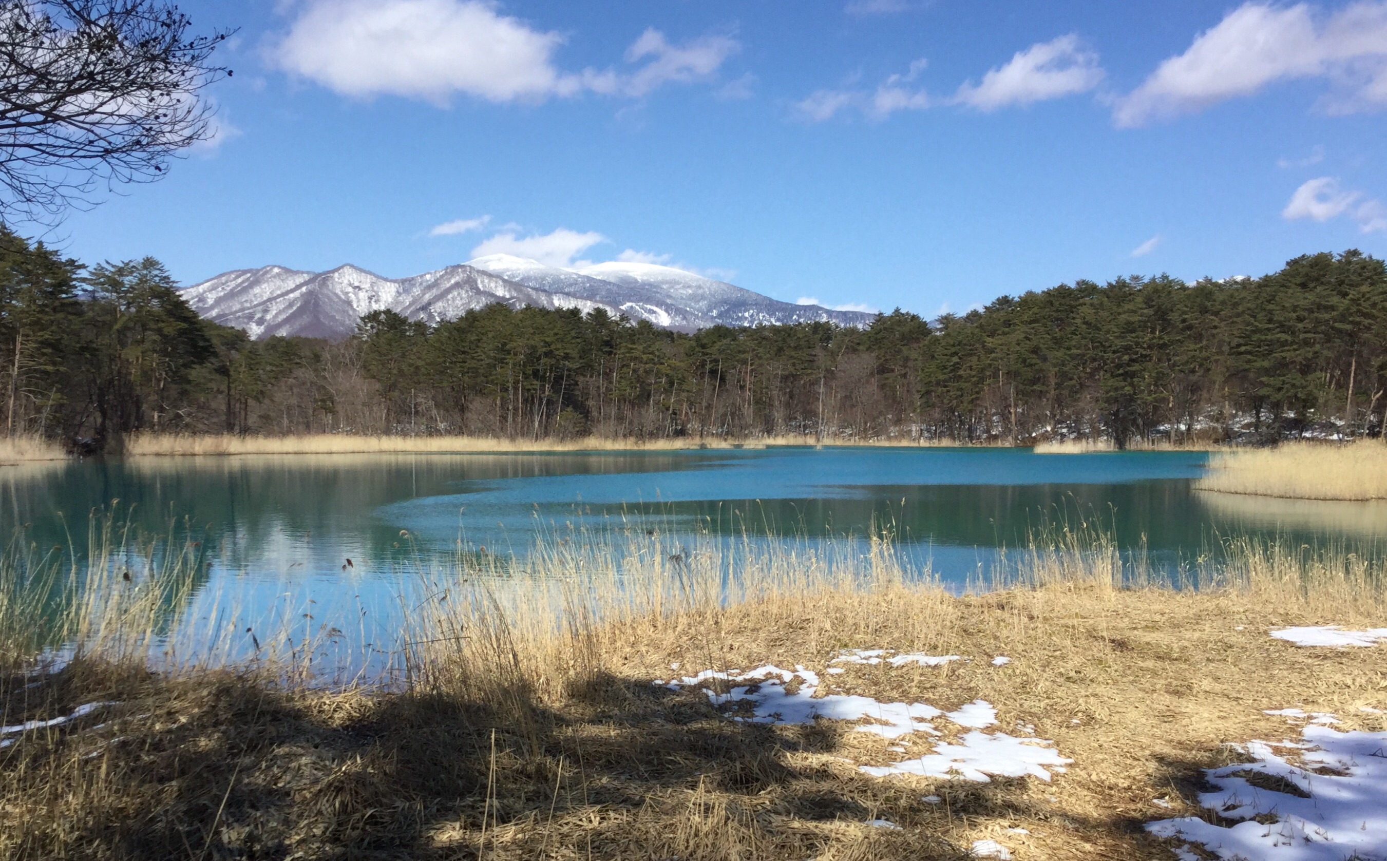 綺麗な景色です