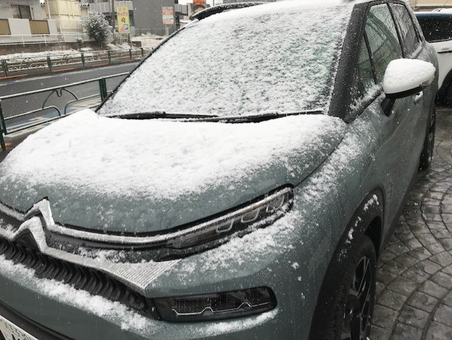 雪降ってます