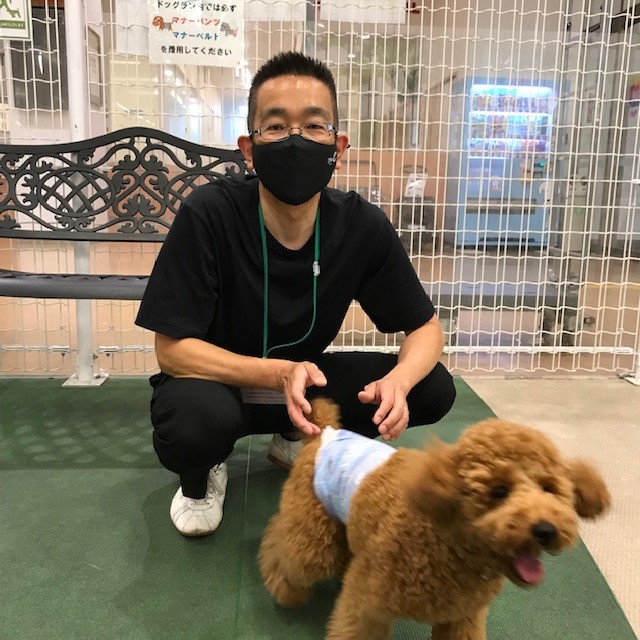 ドッグラン？