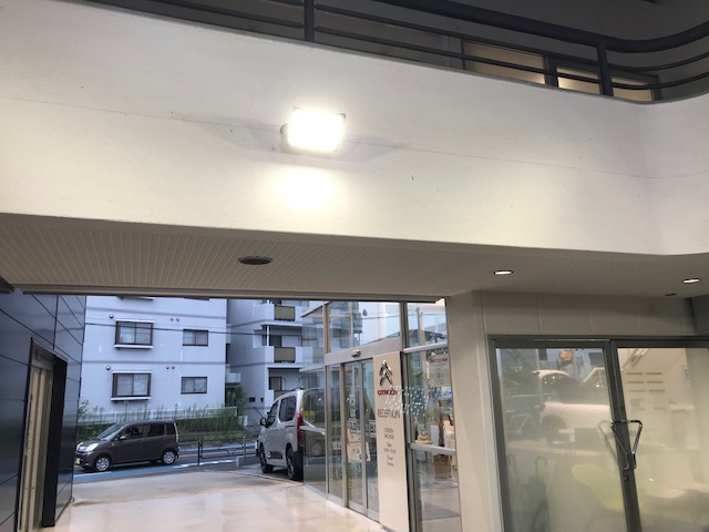 明るくなりました
