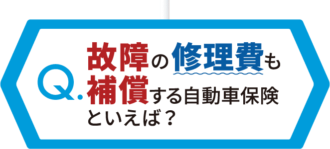 こしょそん？