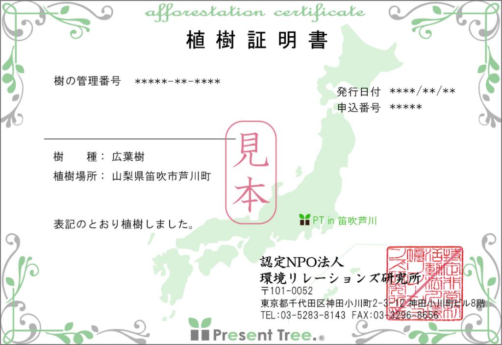 「森を育てるプロジェクト」を開始!
