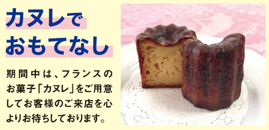 ベルランゴ試乗キャンペーン